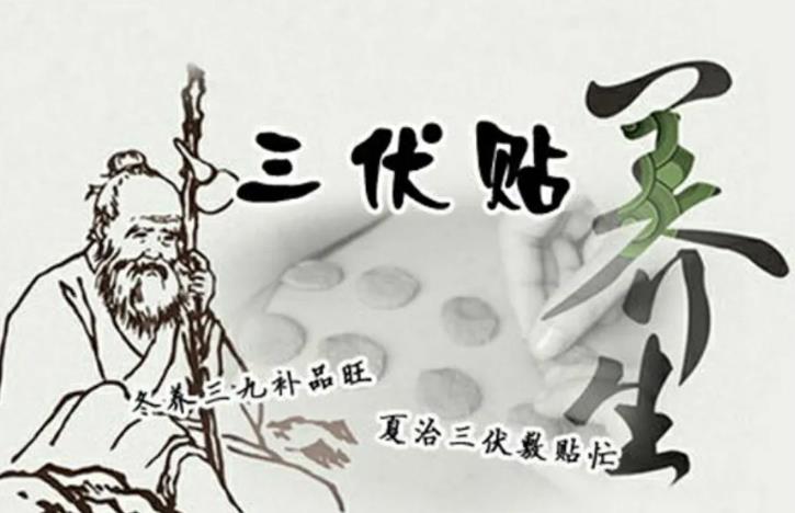 三伏貼的功效與作用有哪些-修康藥業(yè)