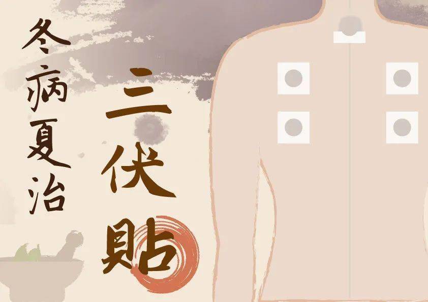 冬病夏治三伏貼，有效緩解夏季疾病，快速舒緩身體不適！